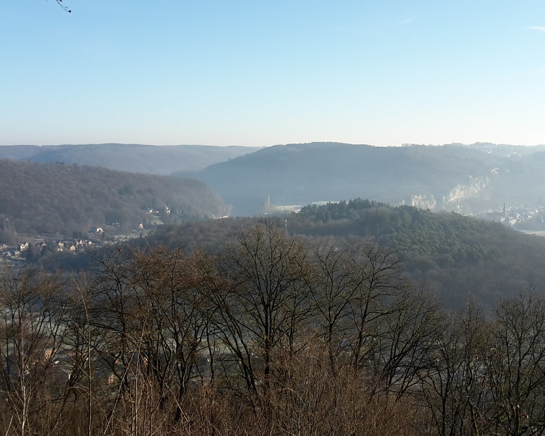 cropped-20190120_104053-1.jpg